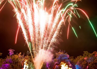 corporate and wedding fire entertainers