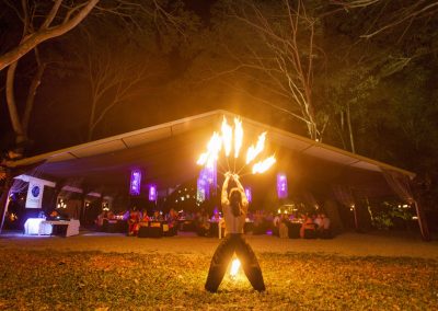 corporate and wedding fire entertainers